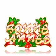 BONNE ANNEE 2011 94820